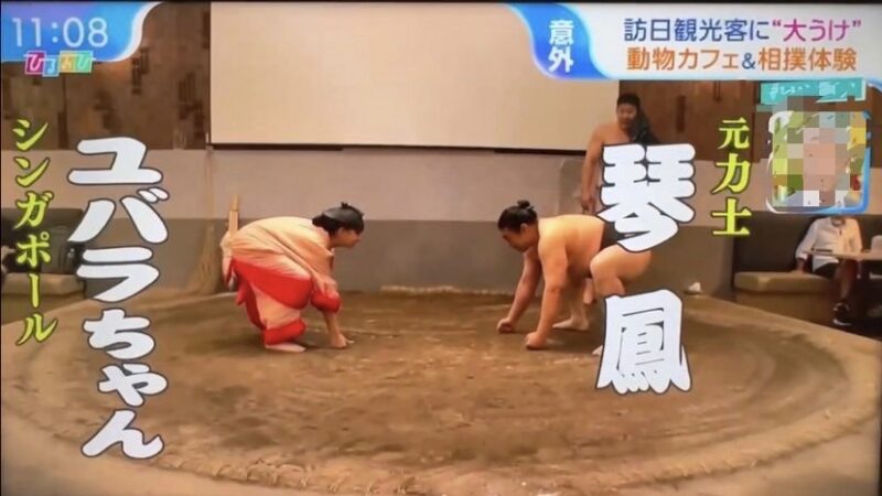 先日、TBS系列『ひるおび』で外国人観光客人気スポットとして紹介されました！