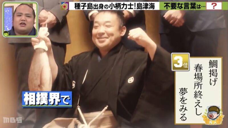 TBS系列で放送中の『プレバト‼︎』に出演しました！